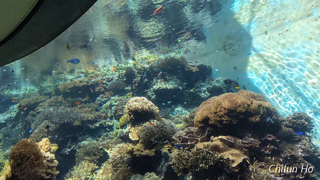沖縄美ら海水族館